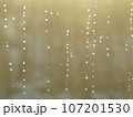 雨の日の降る日 107201530