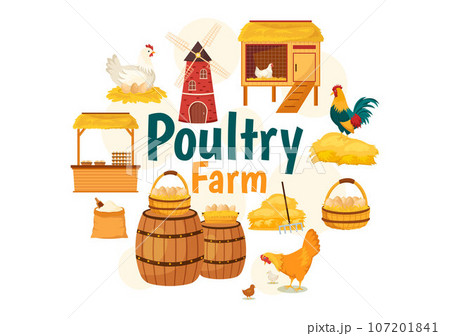 Poultry Farm Vector Illustration with Chickens, Roosters, Straw, Cage and Egg on Scenery of Green Field Background in Flat Cartoon Design Poultry Farm Vector Illustration with Chickens, Roosters, Straw, Cage and Egg on Scenery of Green Field Background in Flat Cartoon Design 107201841