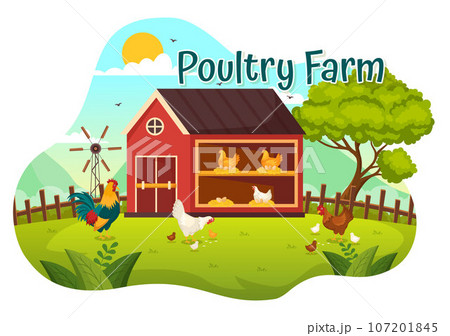 Poultry Farm Vector Illustration with Chickens, Roosters, Straw, Cage and Egg on Scenery of Green Field Background in Flat Cartoon Design Poultry Farm Vector Illustration with Chickens, Roosters, Straw, Cage and Egg on Scenery of Green Field Background in Flat Cartoon Design 107201845