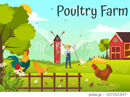 Poultry Farm Vector Illustration with Chickens, Roosters, Straw, Cage and Egg on Scenery of Green Field Background in Flat Cartoon Design Poultry Farm Vector Illustration with Chickens, Roosters, Straw, Cage and Egg on Scenery of Green Field Background in Flat Cartoon Design 107201847