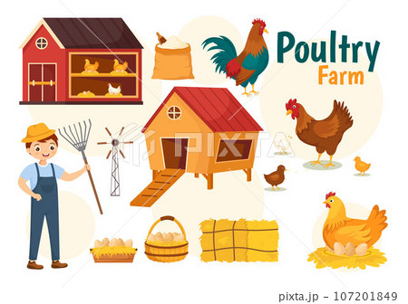 Poultry Farm Vector Illustration with Chickens, Roosters, Straw, Cage and Egg on Scenery of Green Field Background in Flat Cartoon Design 107201849