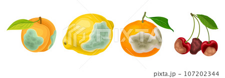 Rotten Fruit with Spoiled Bad Unhealthy Food Vector Set 107202344