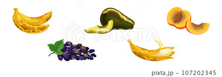 Rotten Fruit with Spoiled Bad Unhealthy Food Vector Set Rotten Fruit with Spoiled Bad Unhealthy Food Vector Set 107202345