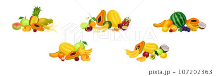 Tropical Fruit Composition with Summer Juicy Food Vector Set Tropical Fruit Composition with Summer Juicy Food Vector Set 107202363