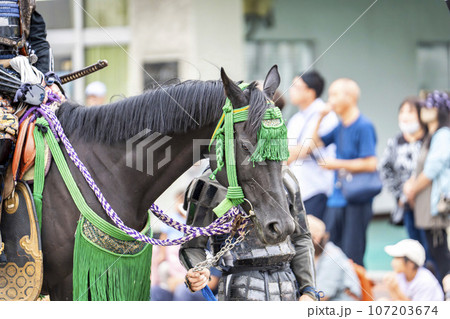 祭りの馬装 福島県会津若松市 祭りの馬装 福島県会津若松市 107203674