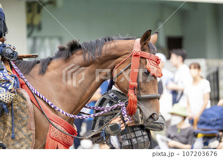 祭りの馬装 福島県会津若松市 祭りの馬装 福島県会津若松市 107203676
