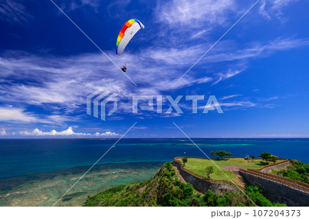 知念岬（沖縄本島南部の観光スポット） 107204373