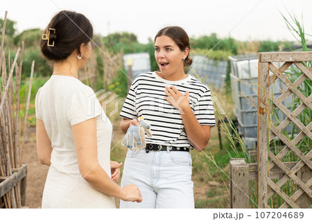 Portrait of talking colleagues in farm. Portrait of talking colleagues in farm. 107204689