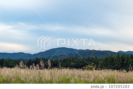 関ヶ原古戦場 開戦地より松尾山小早川秀秋陣地を望む 関ヶ原古戦場 開戦地より松尾山小早川秀秋陣地を望む 107205283