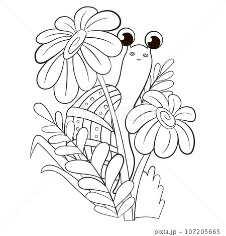 Coloring page with cute snail with daisy flowers in grass for kids Coloring page with cute snail with daisy flowers in grass for kids 107205665