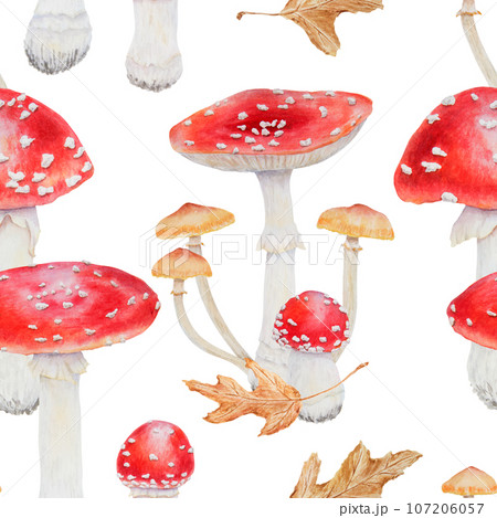 Watercolor seamless pattern of red fly agaric and galerina marginata. Poisonous mushrooms, dry leaves. Hand drawn botanical realistic illustration for packing eco gifts, paper, background, textiles Watercolor seamless pattern of red fly agaric and galerina marginata. Poisonous mushrooms, dry leaves. Hand drawn botanical realistic illustration for packing eco gifts, paper, background, textiles 107206057