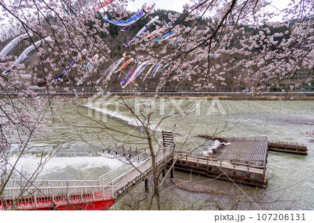 山形県白鷹町 最上川にある日本一大きなヤナ場の道の駅白鷹ヤナ公園最上川あゆとぴあ 山形県白鷹町 最上川にある日本一大きなヤナ場の道の駅白鷹ヤナ公園最上川あゆとぴあ 107206131