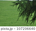 草原と針葉樹 107206640