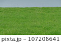 草原のある風景 107206641