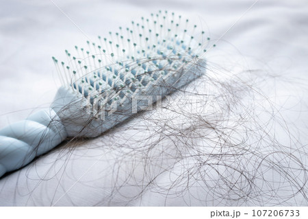 Lot of black hair falls out in the comb,damaged and broken hair by combing,hair loss problems after brushing,concept of beauty,health care and medical Lot of black hair falls out in the comb,damaged and broken hair by combing,hair loss problems after brushing,concept of beauty,health care and medical 107206733