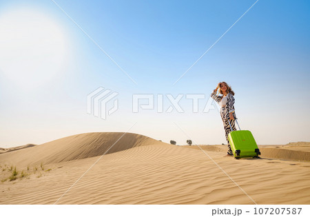 Concept and idea of travel to the United Arab Emirates 107207587