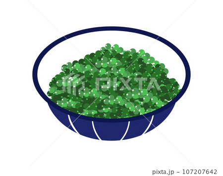 沖縄県の名物、海ぶどう 沖縄県の名物、海ぶどう 107207642