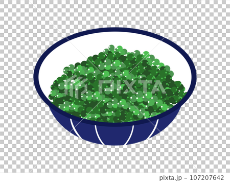 沖縄県の名物、海ぶどう 沖縄県の名物、海ぶどう 107207642