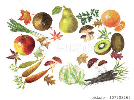水彩で描いた秋の野菜とフルーツ 107208163