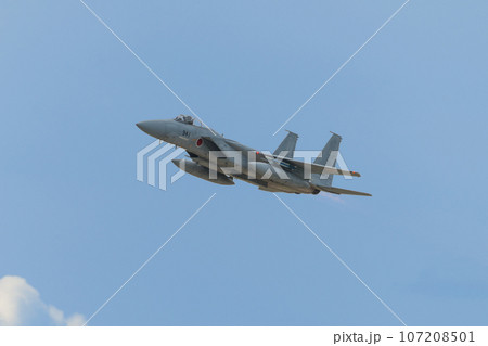 航空自衛隊第304飛行隊F-15Jイーグル 航空自衛隊第304飛行隊F-15Jイーグル 107208501