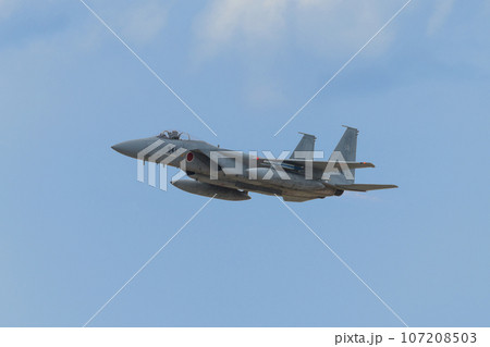 航空自衛隊第304飛行隊F-15Jイーグル 航空自衛隊第304飛行隊F-15Jイーグル 107208503