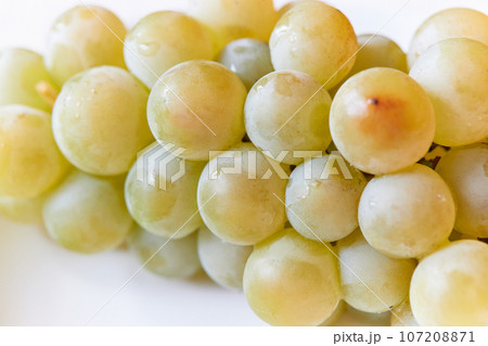 ナイアガラぶどう／葡萄 107208871
