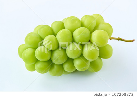 シャインマスカット／白背景 107208872