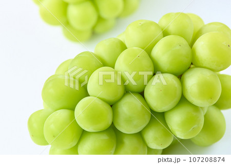 シャインマスカット/アップ/白背景 シャインマスカット/アップ/白背景 107208874