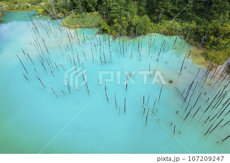 北海道 美瑛の「白金青い池」を空撮 107209247