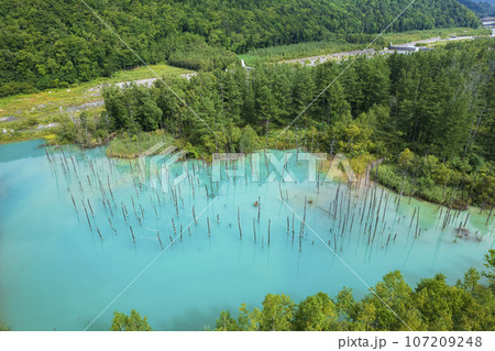 北海道 美瑛の「白金青い池」を空撮 北海道 美瑛の「白金青い池」を空撮 107209248