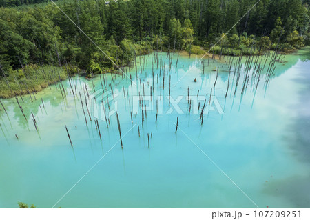 北海道 美瑛の「白金青い池」を空撮 北海道 美瑛の「白金青い池」を空撮 107209251
