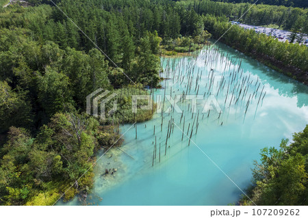 北海道 美瑛の「白金青い池」を空撮 107209262
