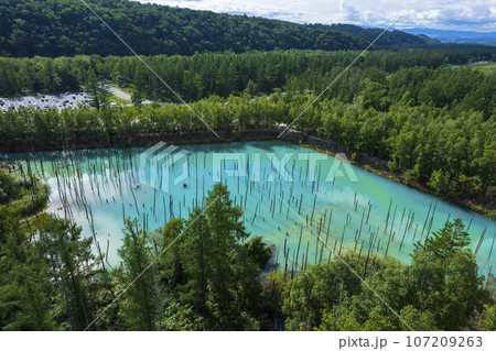 北海道 美瑛の「白金青い池」を空撮 107209263