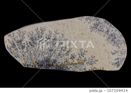 デンドリティック・ライムストーン 風景を宿す石 デンドリティック・ライムストーン 風景を宿す石 107209414