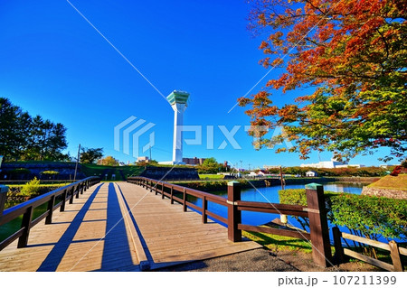 函館五稜郭公園の紅葉と五稜郭タワー 函館五稜郭公園の紅葉と五稜郭タワー 107211399