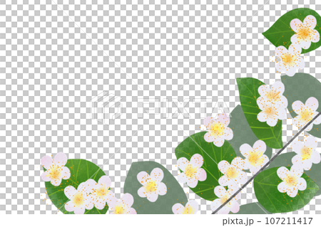 guava flower card guava flower card 107211417