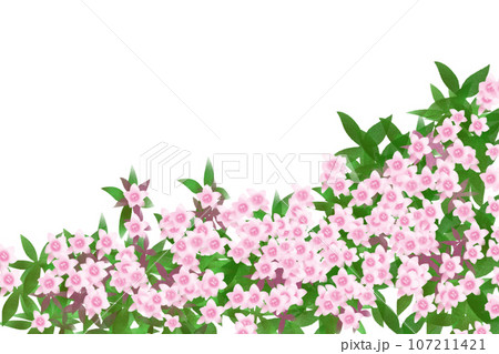 アベリアの花のカード1 アベリアの花のカード1 107211421
