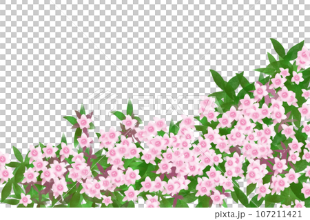アベリアの花のカード1 アベリアの花のカード1 107211421
