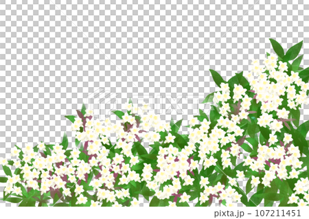 アベリアの花のカード4 107211451