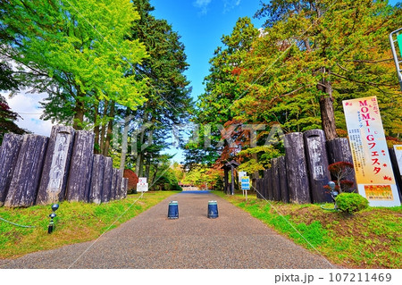 函館市見晴公園 旧岩船氏庭園(香雪園)の紅葉 函館市見晴公園 旧岩船氏庭園(香雪園)の紅葉 107211469