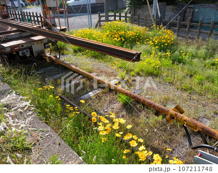 上総興津散策 107211748