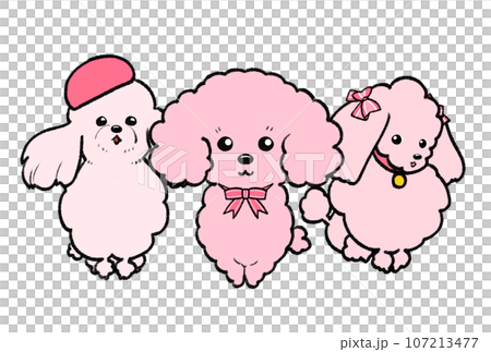三匹のピンクのトイプードルズ 三匹のピンクのトイプードルズ 107213477