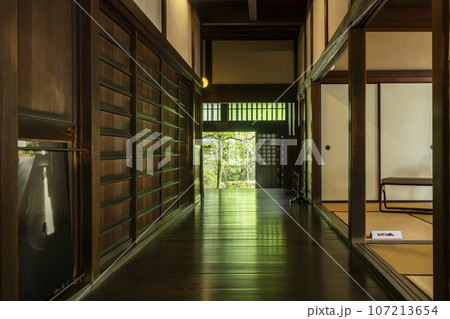 大徳寺塔頭 龍源院 拝観入口 廊下に新緑が反射する 大徳寺塔頭 龍源院 拝観入口 廊下に新緑が反射する 107213654