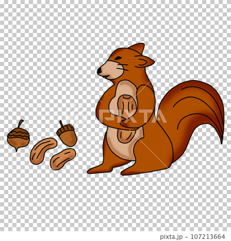 Squirrel Squirrel 107213664