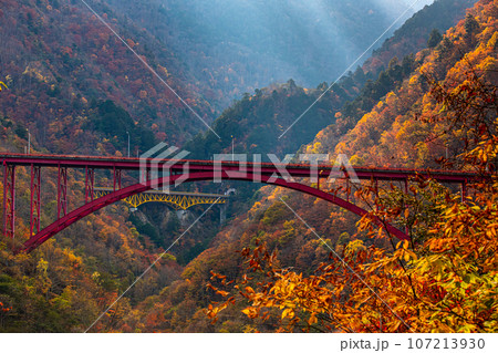 【埼玉県･秩父市･彩甲斐街道】錦秋の中に浮かぶ雁坂大橋と豆焼橋 10月 11月 107213930