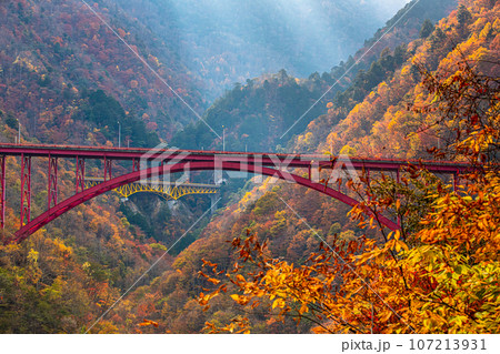 【埼玉県･秩父市･彩甲斐街道】錦秋の中に浮かぶ雁坂大橋と豆焼橋 10月 11月 107213931