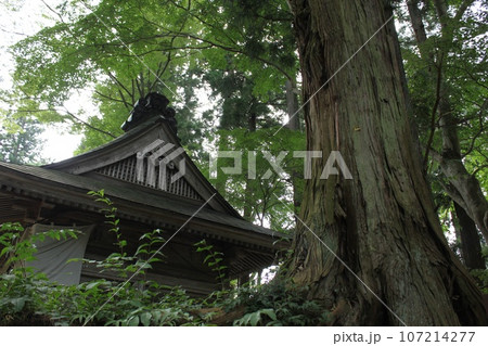 中尊寺の風景 中尊寺の風景 107214277