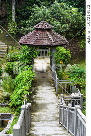 Walk road in Perdana botanical garden in Kuala Lumpur, Malaysia 107214922