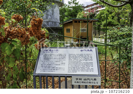 山代温泉　源泉「薬壺の湯」　石川県加賀市 107216210