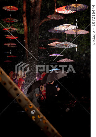 月あかり花回廊(雨) 月あかり花回廊(雨) 107216444